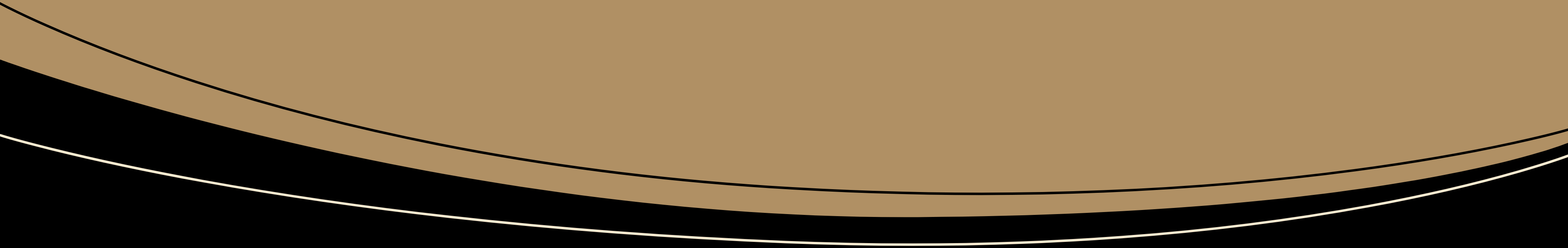 decorative bottom border